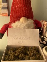 IMG_2868.jpeg