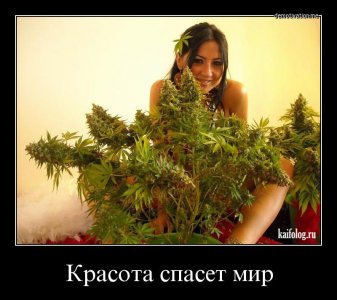 1455613236_062.jpg