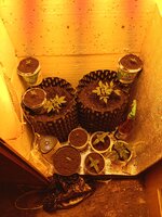 IMG_20260313_102739.jpg