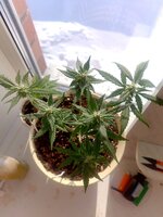 IMG_20260312_090811.jpg