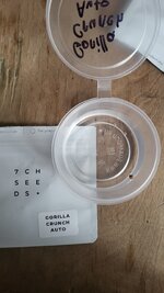 IMG_1040.jpeg