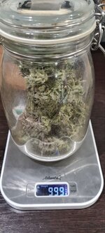 IMG_1214.jpeg