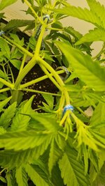 IMG_1258.jpeg