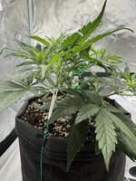 IMG_3208.JPG