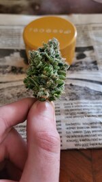 IMG_1287.jpeg