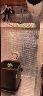 04_grow_tent_clean.png