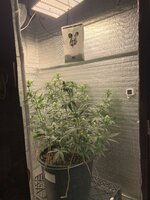 IMG_0944.jpeg