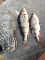 IMG_20250526_191210.jpg