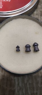 IMG_20260404_233258.jpg