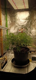 IMG_20260405_101643.jpg