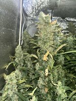 7 — копия.jpg