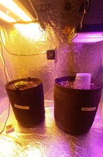 20260407_210401.jpg