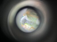 3 — копия.jpg