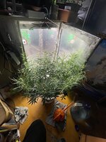 IMG_3922.jpeg