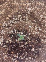 IMG_20260420_035359.jpg
