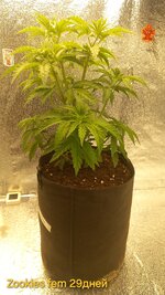 20260424_115408.jpg