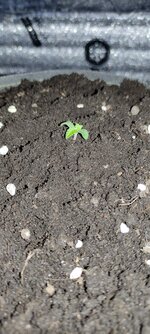 IMG_20260430_002248.jpg