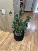 IMG_5779.jpeg
