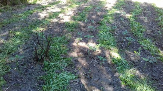 20160415_041440.jpg 20160415_041440.jpg