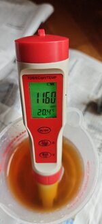 4953.jpg 4953.jpg