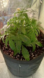 1000134715.jpg