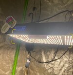 IMG_7292.jpeg