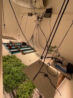IMG_5557.jpeg