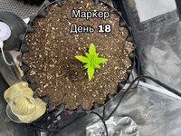 1F513558-43CA-4393-A4B9-9CF9E995178D.jpeg