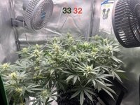 IMG_0532.jpeg