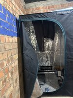 IMG_3955.jpeg