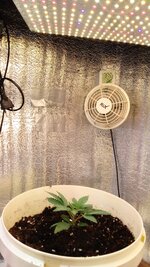 IMG_20261018_122122_509.jpg