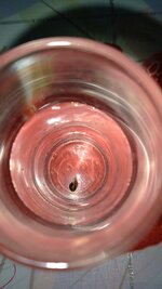 IMG_20261024_225703_482.jpg