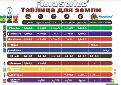 Таблица2.jpg