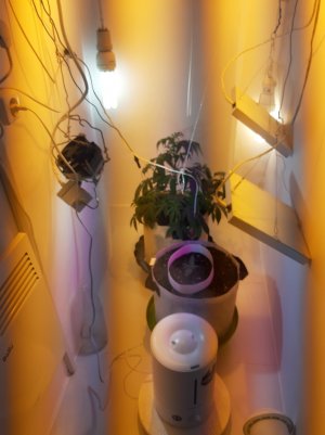 20220701_222811.jpg