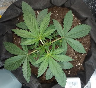 507_amnesia3 (2).jpg