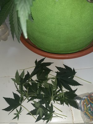 20220706_122548.jpg