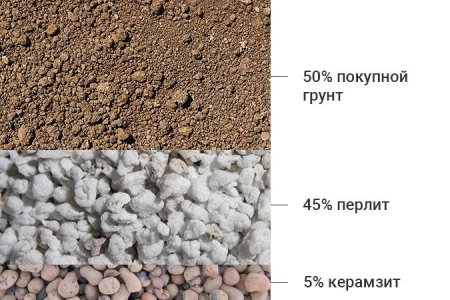 Рецепт почвосмеси для выращивания конопли