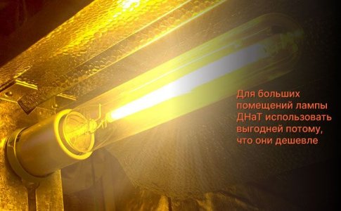 Освещение для выращивания конопли