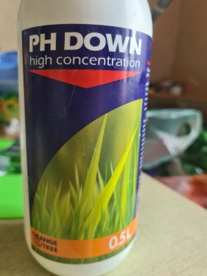 20220710_173036.jpg