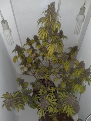 20220712_204747.jpg