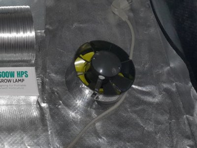 20220715_194600.jpg