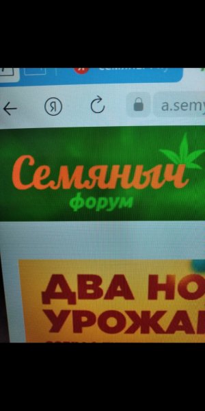 Screenshot_2022-07-19-21-29-41-982_com.miui.gallery.jpg