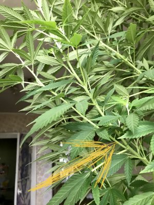 12C05BCE-DF3D-400A-A864-A3449636FD30.jpeg
