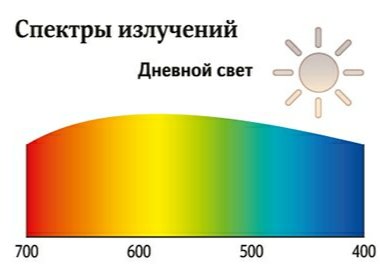 IMG_20220726_090842.jpg