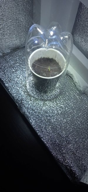 IMG_20220816_165022.jpg