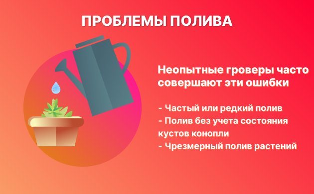 Неправильный полив