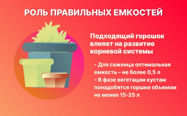Горшки неподходящего размера