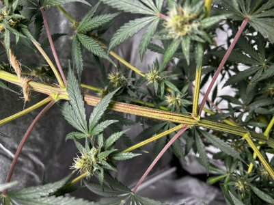 A04DD035-51F3-4CD3-88E1-5592B73E8ACA.jpeg
