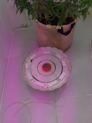 20220906_133505.jpg