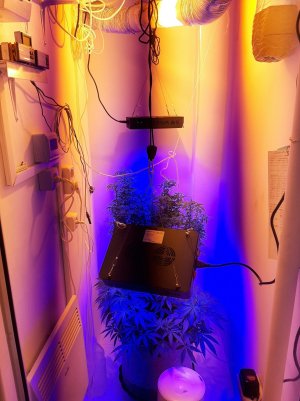 20220919_113750.jpg